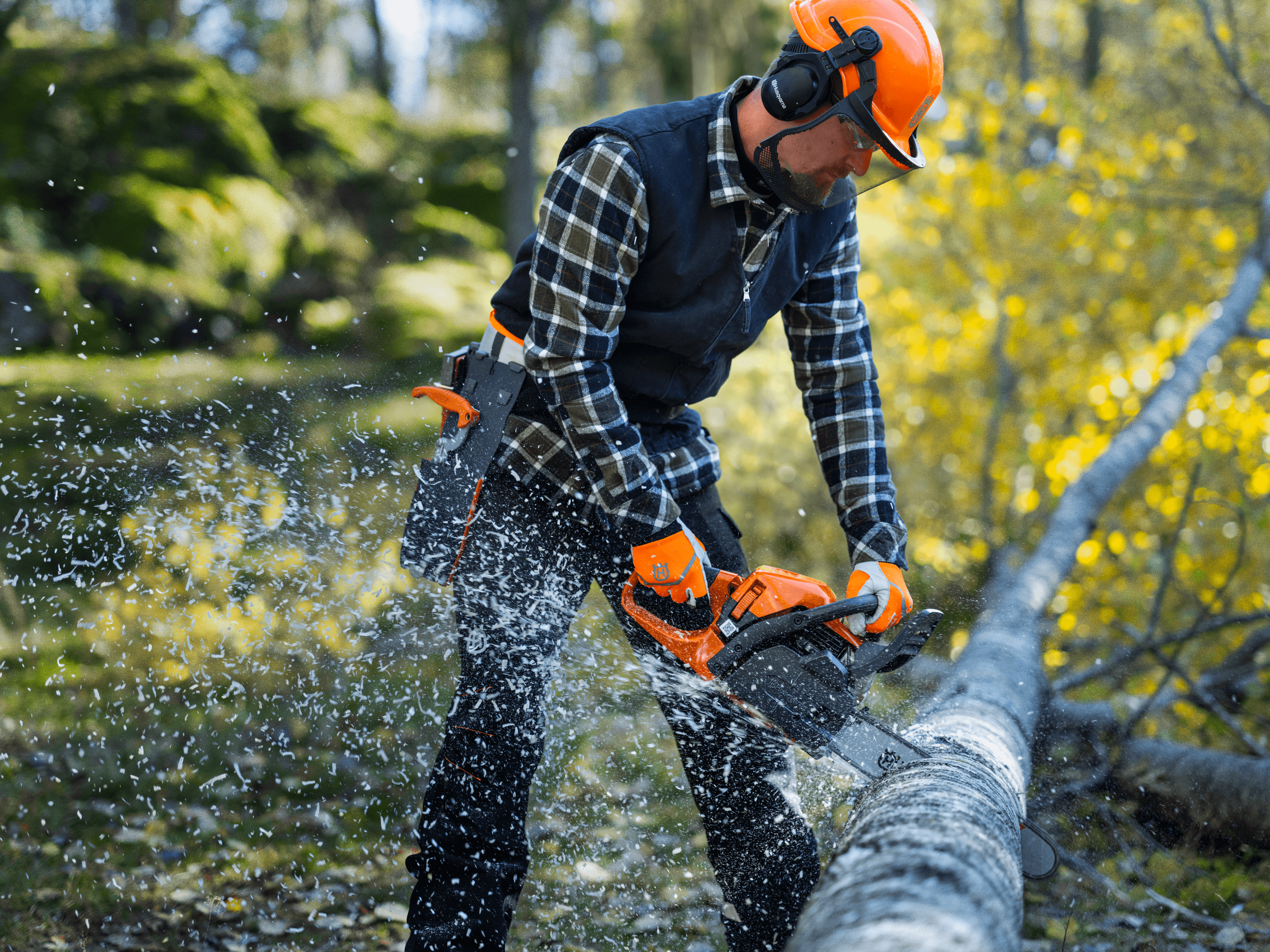 man holding polesaw whilst cutting tree
